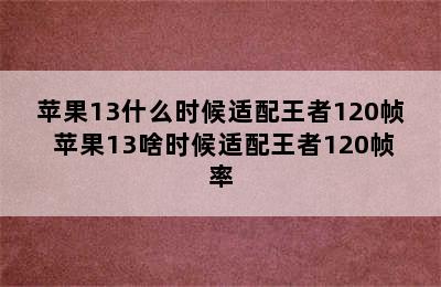 苹果13什么时候适配王者120帧 苹果13啥时候适配王者120帧率